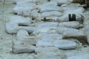 ضبط شحنة "مخدرات وحشيش"، معبر الغزاوية بريف حلب، 26 مارس/آذار 2022 (السورية.نت)